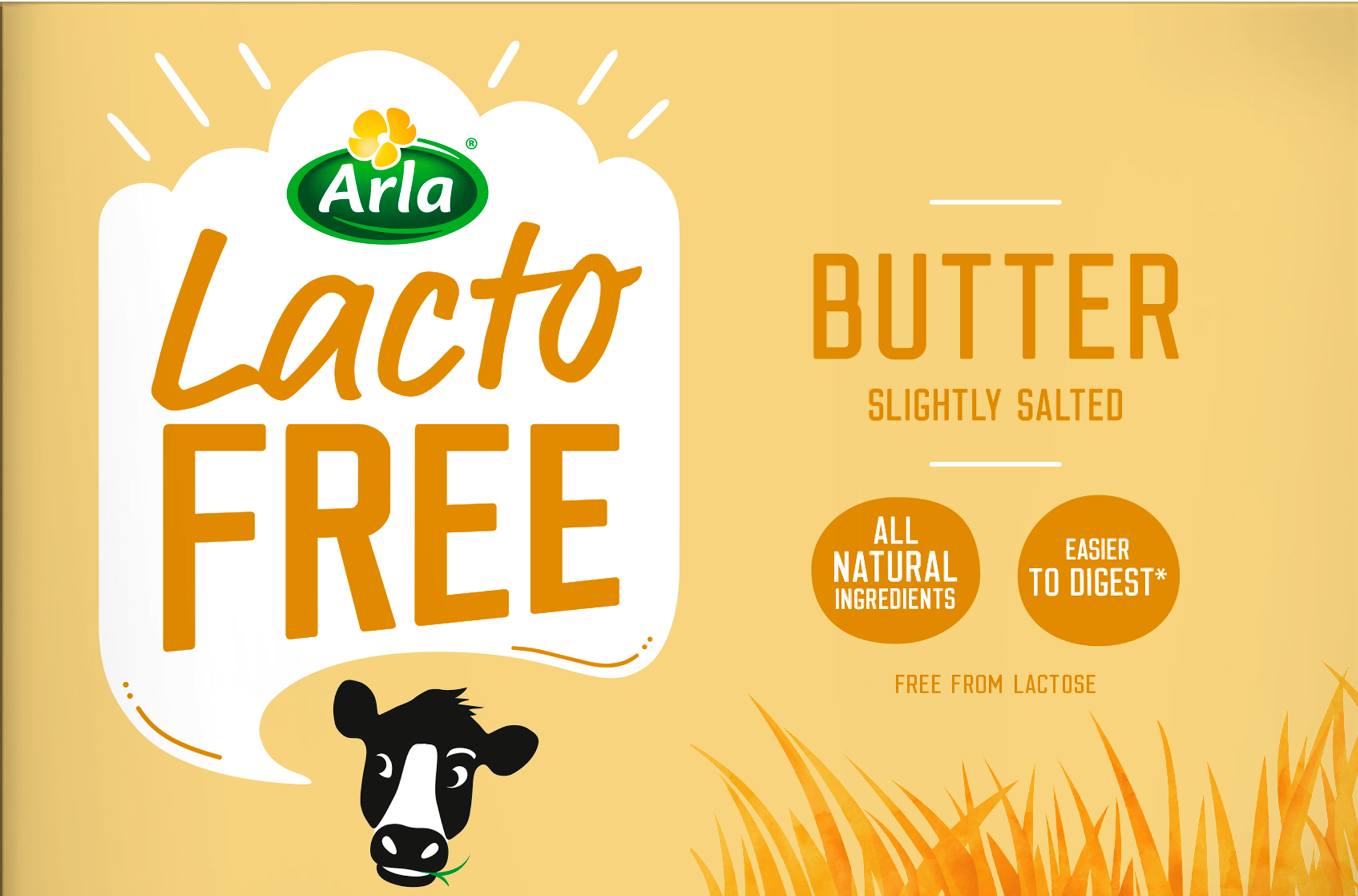 (Discontinued) Arla Lactofree Slightly Salted Butter 250g | Arla UK