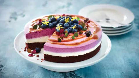 Lactose-free cakes
